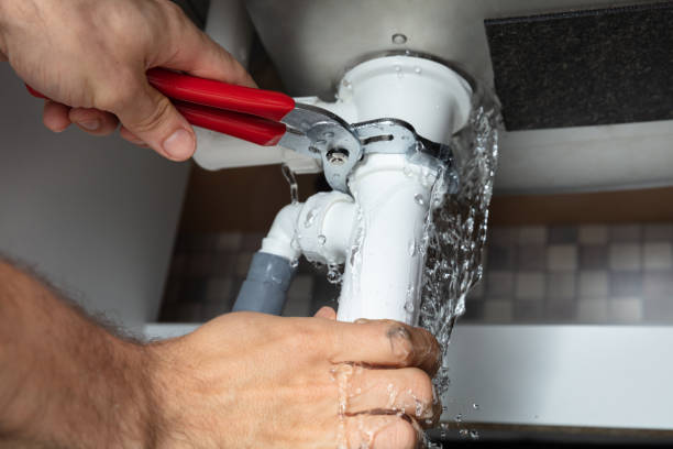 Best Water damage mitigation services  in Wenonah, NJ