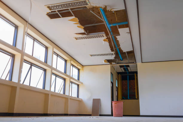 Best Commercial water damage restoration  in Wenonah, NJ