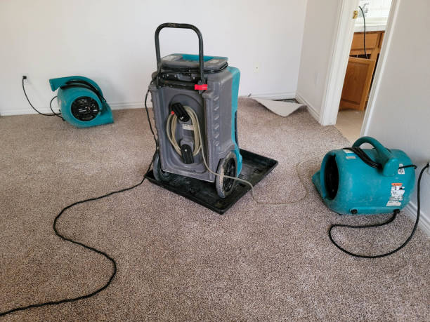 Best Emergency water damage restoration  in Wenonah, NJ