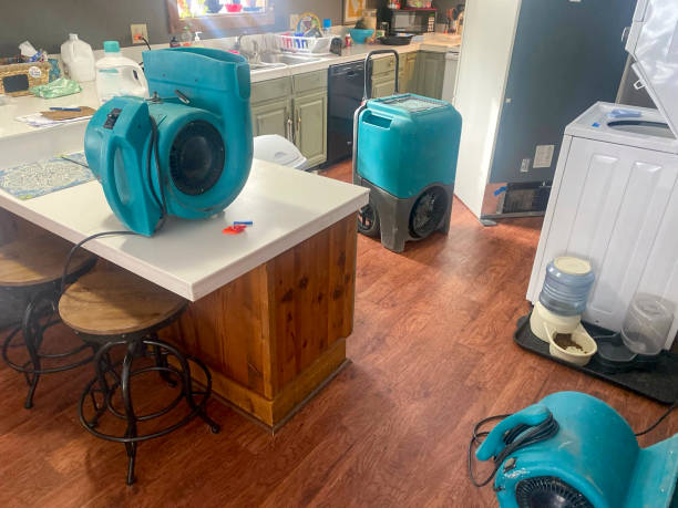 Best Water damage restoration near me  in Wenonah, NJ